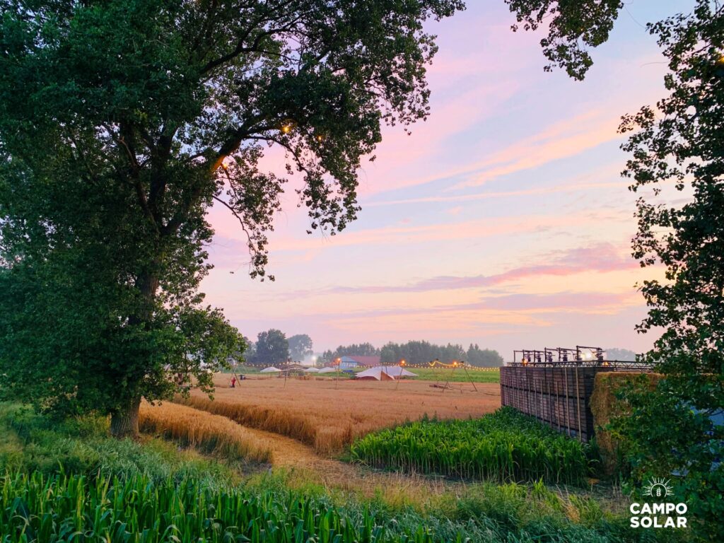 BIJ GEBREK AAN ECHT ZOMERWEER ALVAST ECHT ZOMERNIEUWS!