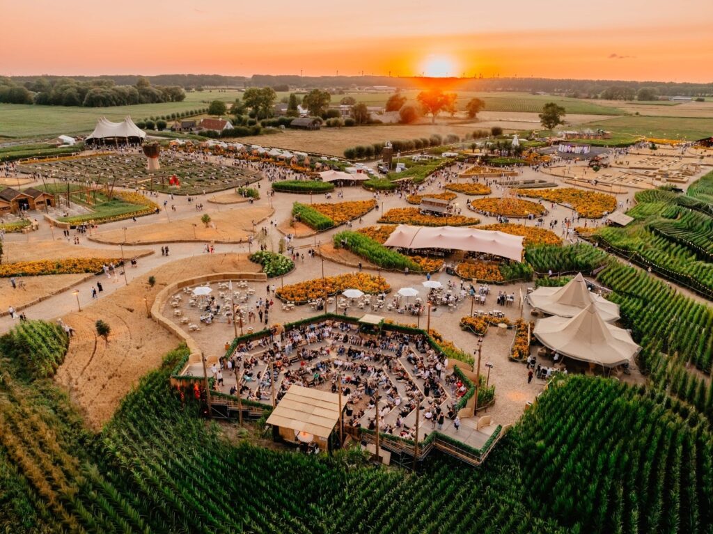 Campo Solar 2027